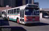 actransit1619onrtfattransbaytrm7-3-80dg.jpg (178244 bytes)