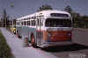 actransit2119atconcordca7-24-75dg.jpg (197938 bytes)